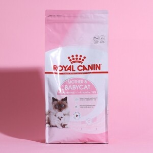 로얄캐닌 캣 마더 앤 베이비캣 2kg