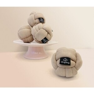 딩독 노즈워크 강아지 장난감 딸랑이 빅 볼 모카