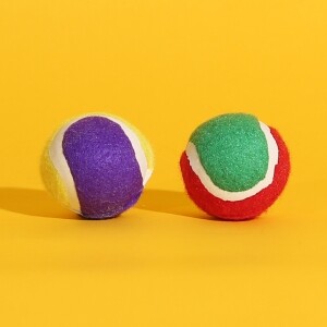 펫모닝 강아지 장난감 테니스볼 소형